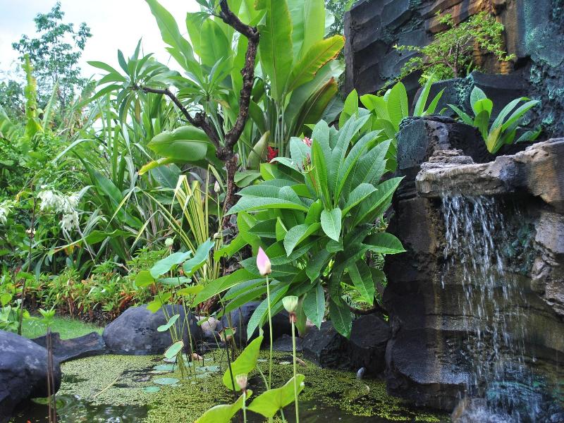 Trijaya Guest House Pemuteran image