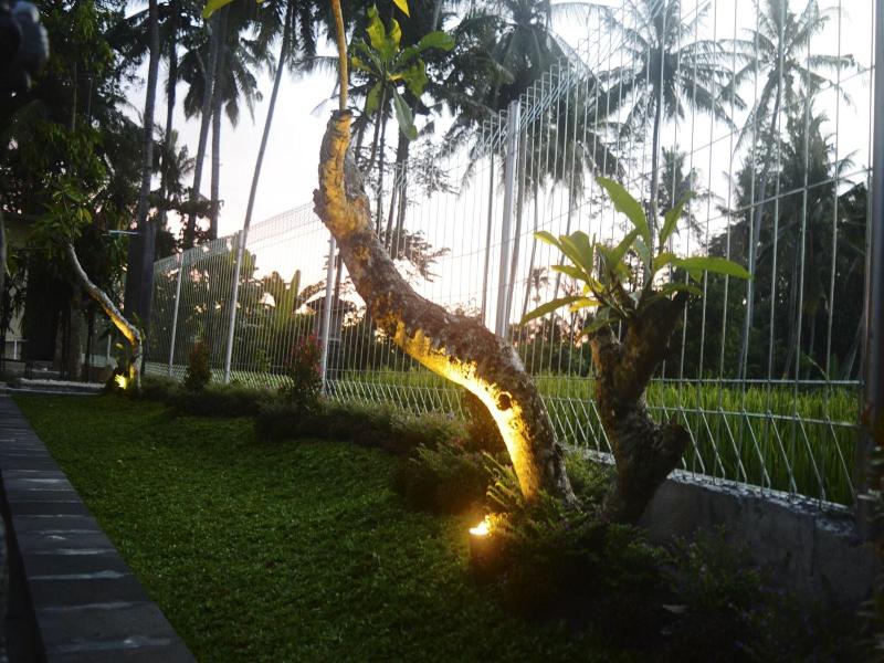 Lily Lane Villas image
