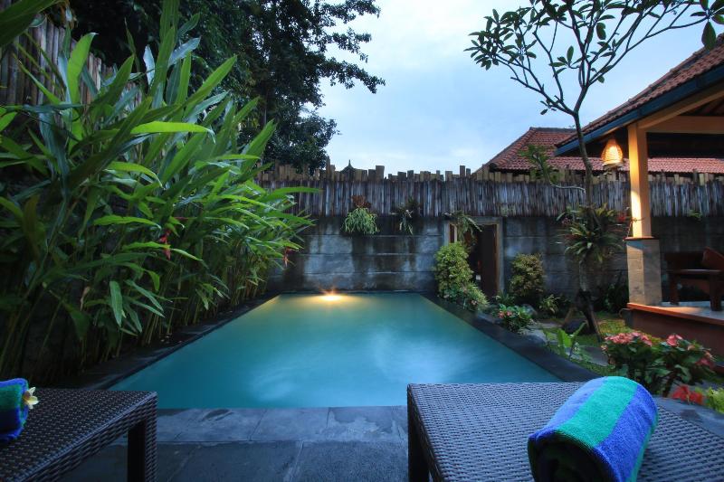 The Forest Villa Ubud image