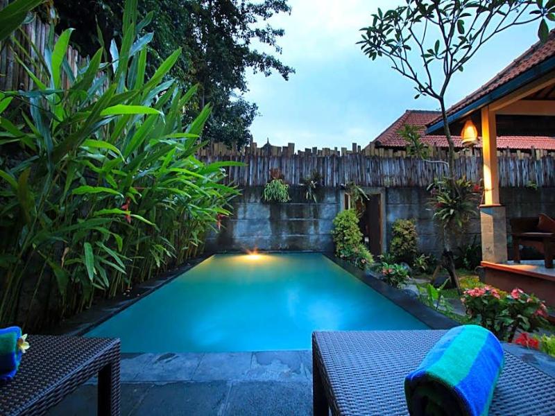 The Forest Villa Ubud image