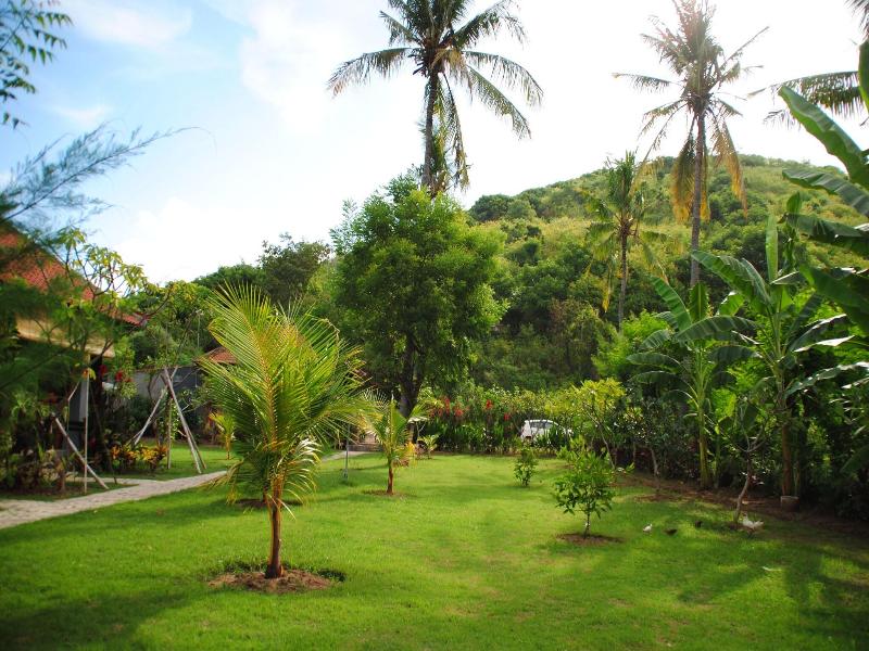 Tiara Homestay Pemuteran Bali image