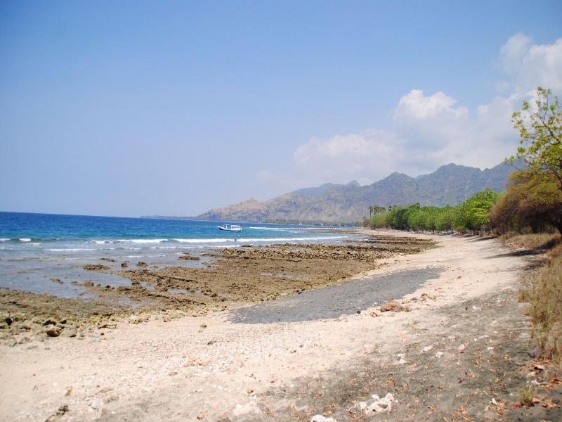 Tiara Homestay Pemuteran Bali image
