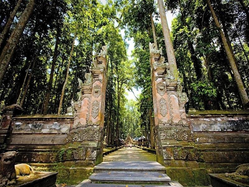 Satya House Ubud image
