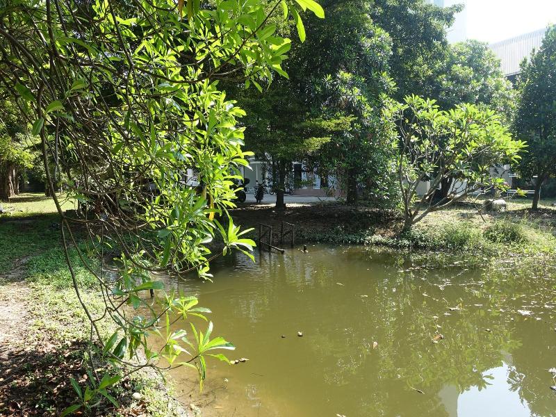 The Park Bangyai Apartment image