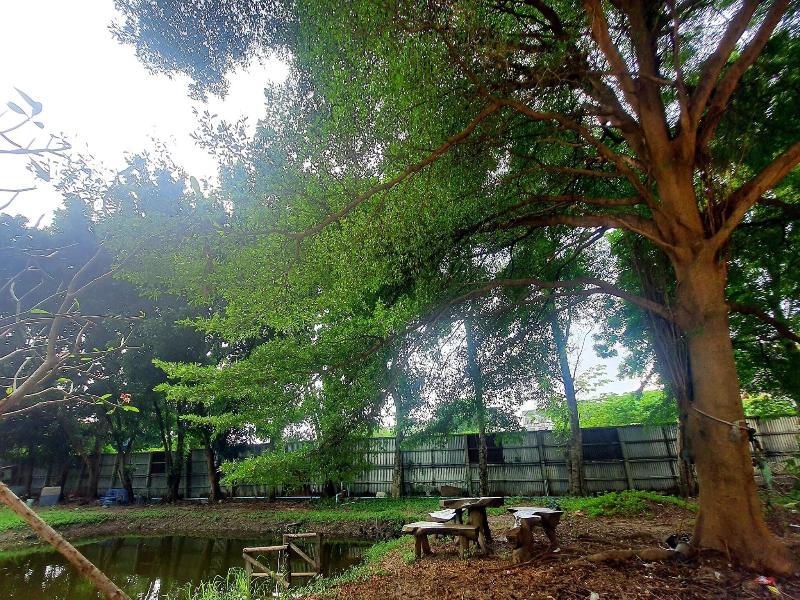 The Park Bangyai Apartment image