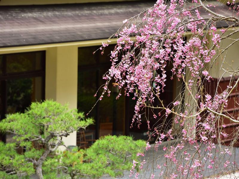 Kyoto Yunohana Resort Suisen image