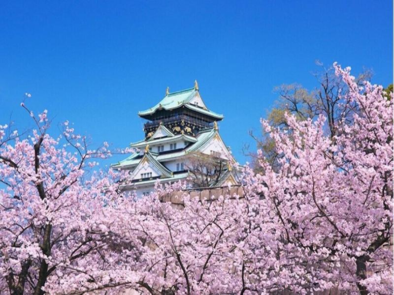 Eins Inn Umedahigashi image