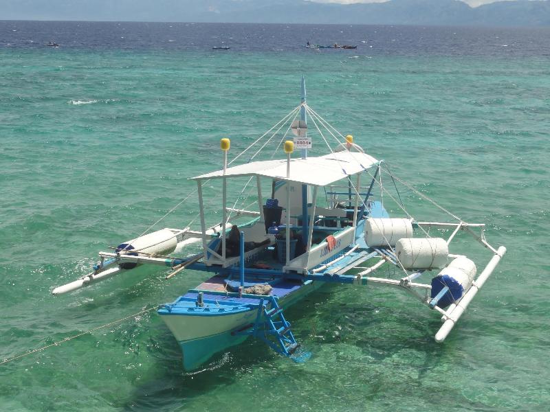 Sea Turtle House image