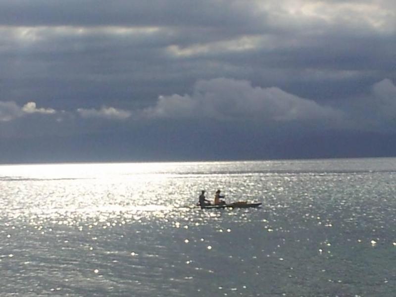 Sea Turtle House image