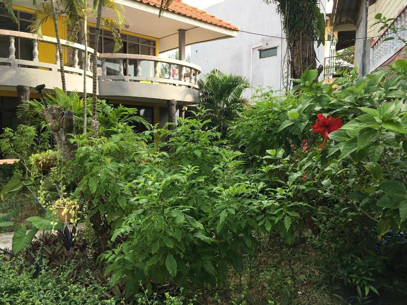 Lanta Garden Home image