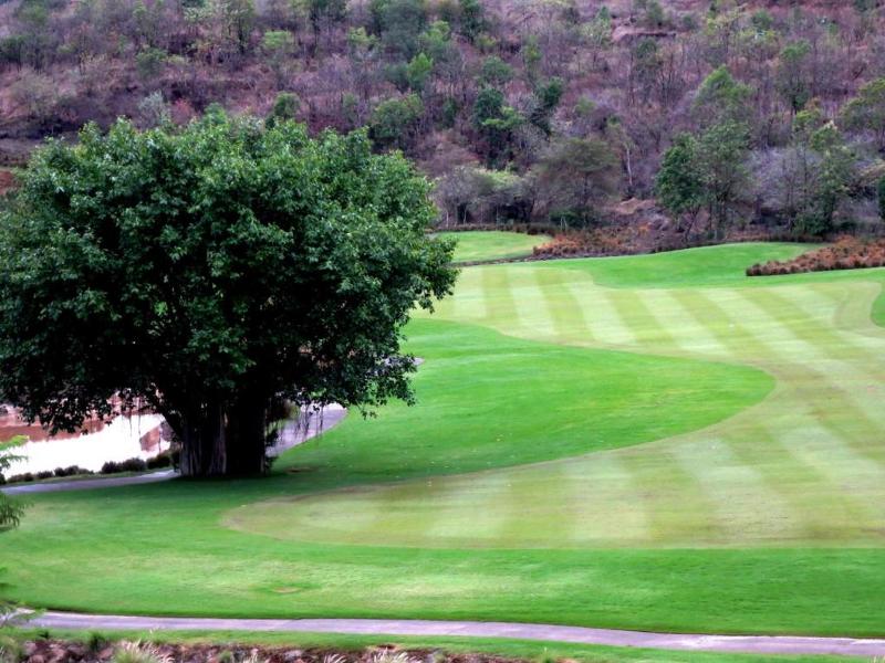 Oxford Golf Resort image