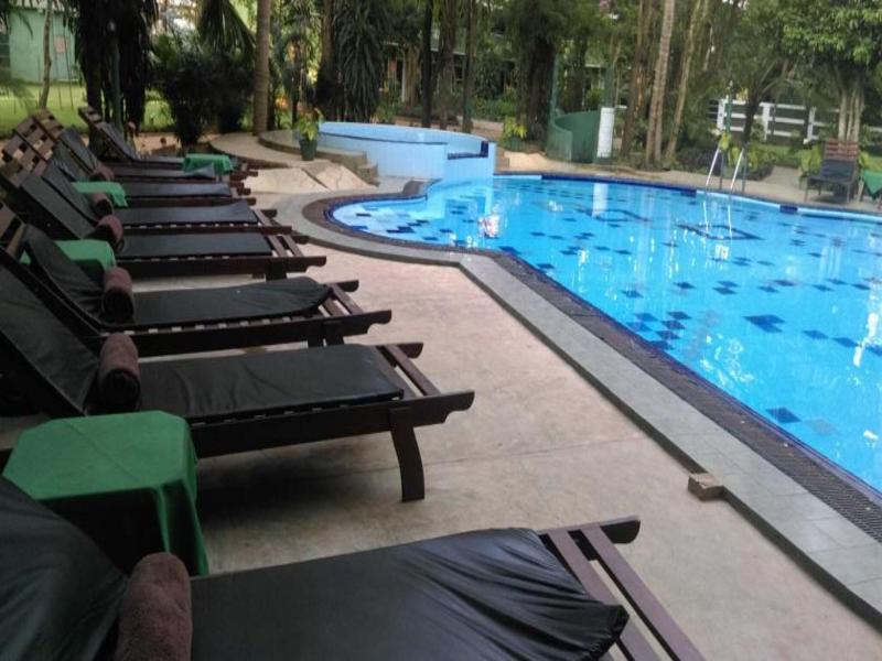 Eden Garden image