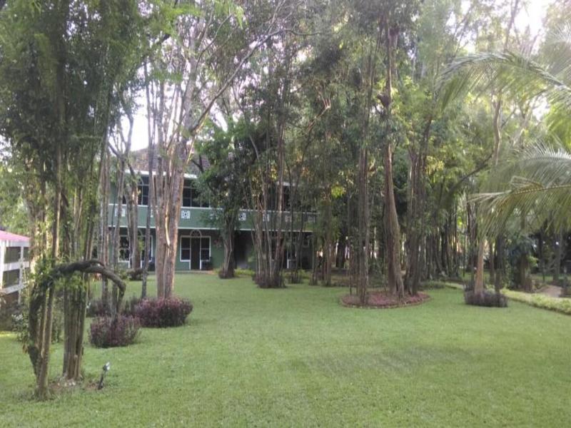 Eden Garden image