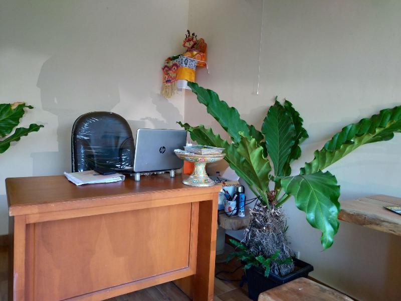 Beji Ayu Homestay image