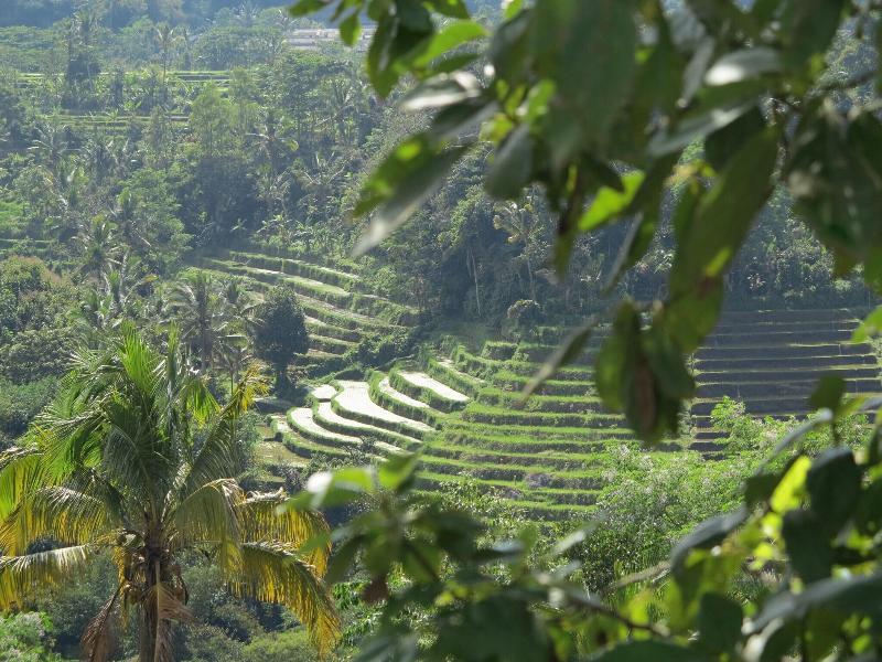 The Chillhouse Bali Surf And Yoga Retreats image