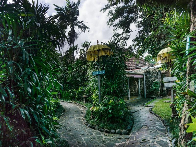The Chillhouse Bali Surf And Yoga Retreats image