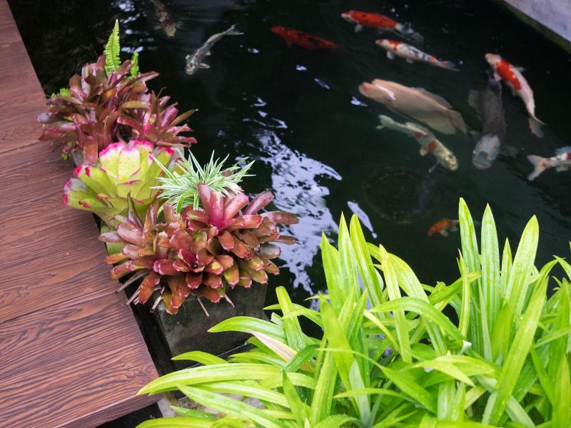 Just Fine Krabi Hotel image