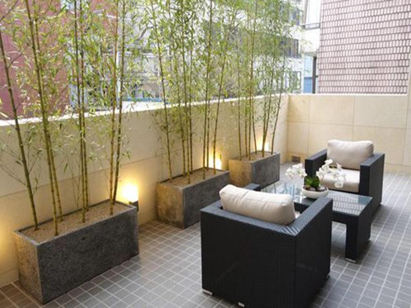 Borjomi Boutique Seoul Hotel image