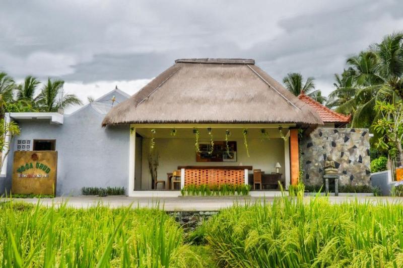 Yoga ubud villa