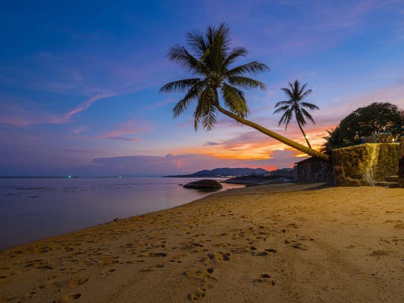 Three Trees Samui Resort image