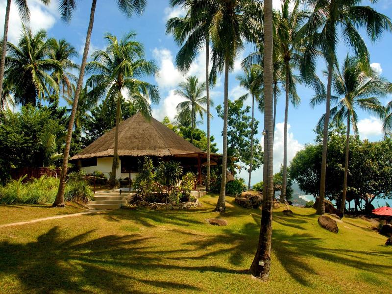 The Jungle Club image