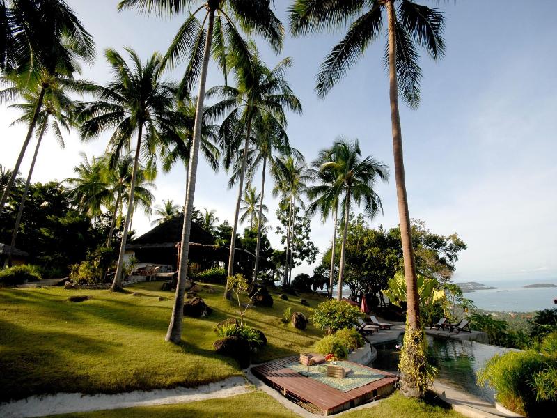 The Jungle Club image
