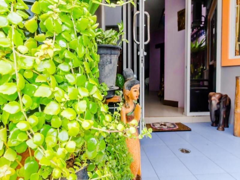 Baan Yuyen Karon Guesthouse image