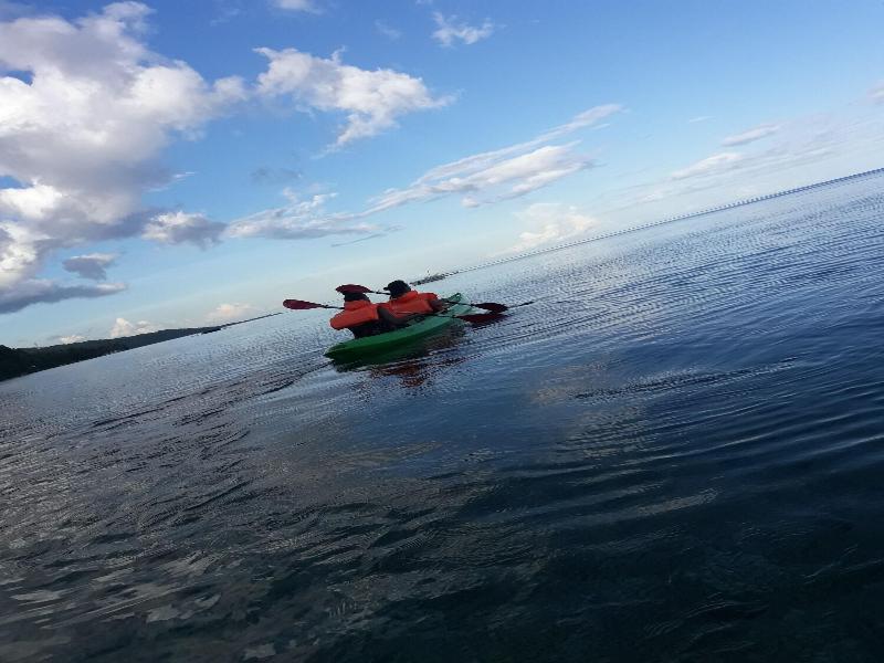 Seafari Resort Oslob image