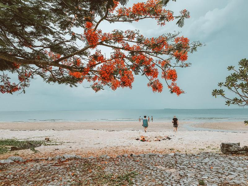 Saphli Villa Beach Resort image