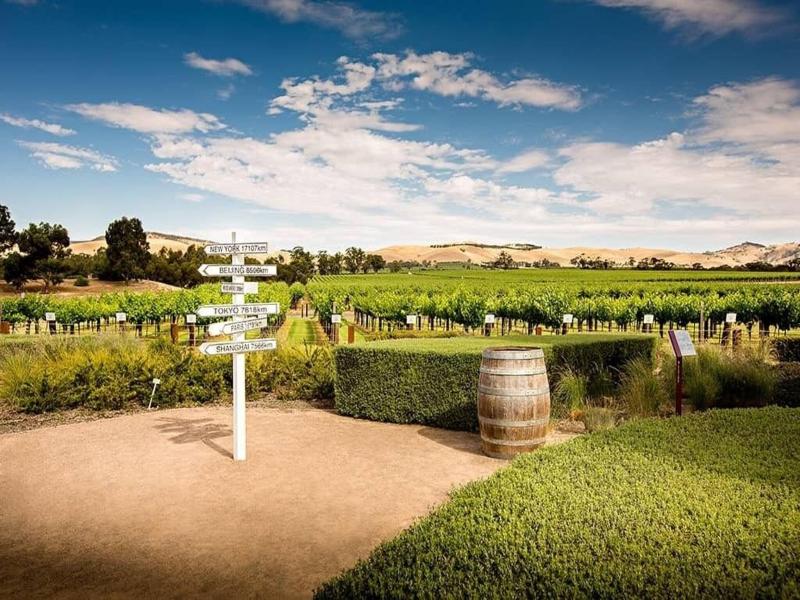Barossa Gateway Motel image