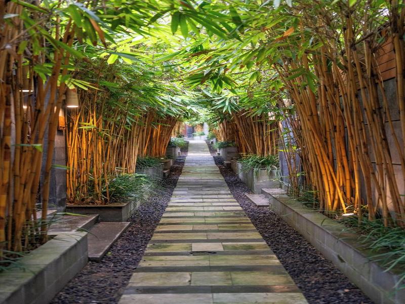 La Paradis Villas Pererenan image