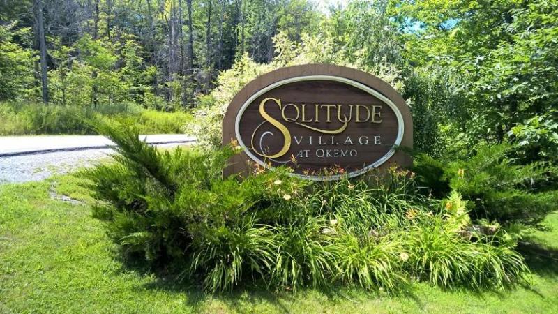Solitude Village at Okemo by Vail Resorts image