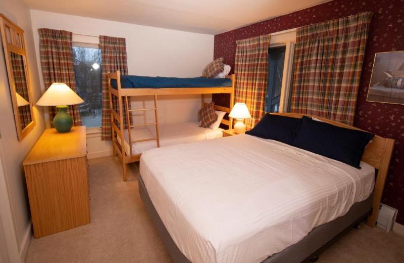 Solitude Village at Okemo by Vail Resorts image
