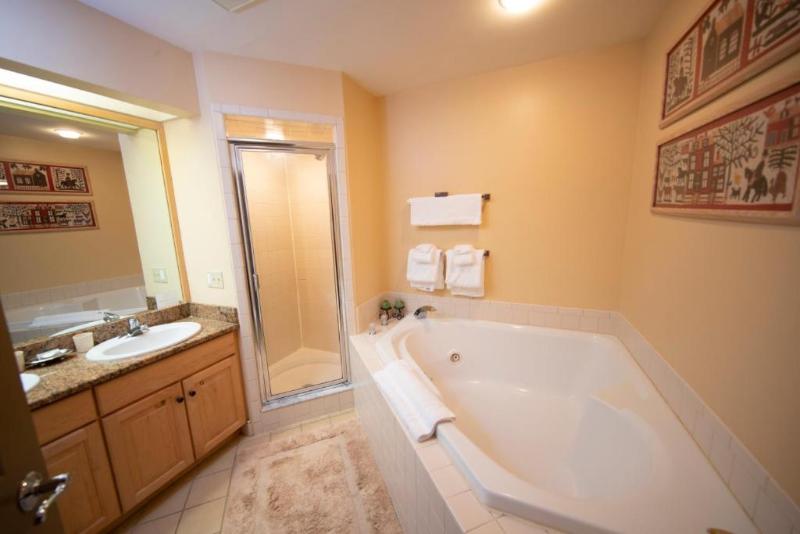 Solitude Village at Okemo by Vail Resorts image