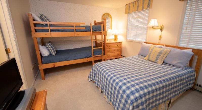 Winterplace at Okemo, A Vail Resorts Property image