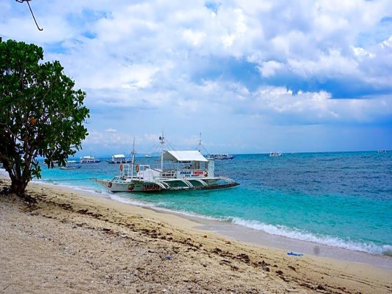 Mabuhay Thresher Dive Resort