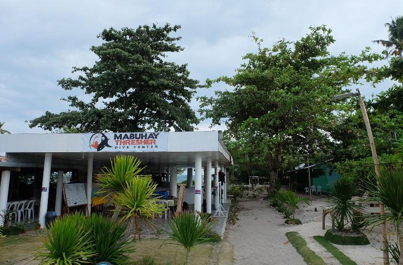 Mabuhay Thresher Dive Resort