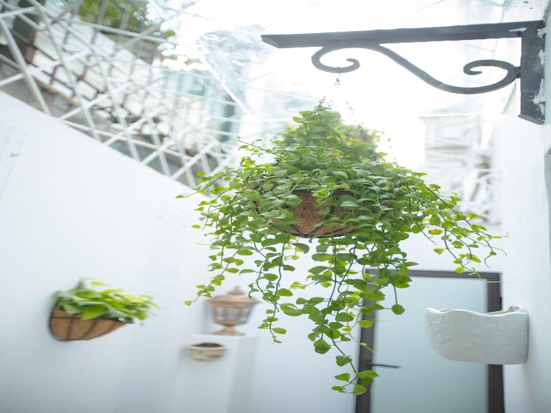 Dinh Elegant Hanoi Hotel image