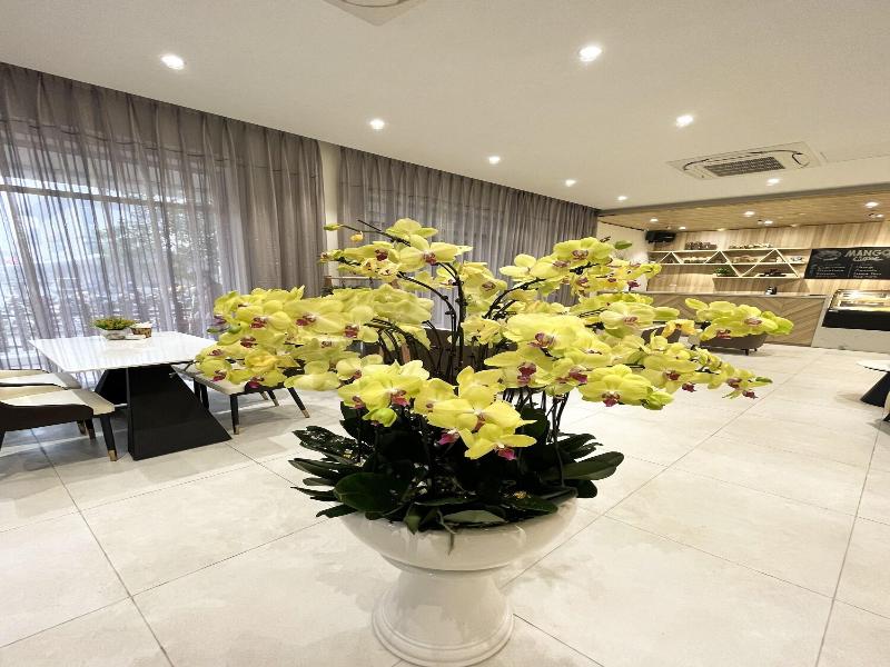 Mango Hotel Le Duan image
