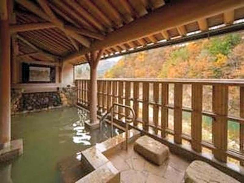 Shirakawago No Yu Hotel image
