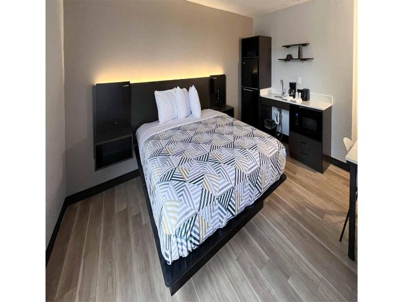 Room KING BED NON SMOKING — photo 9