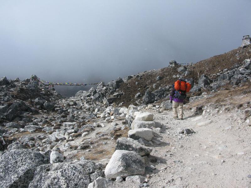 NEPALAYA image