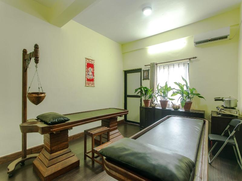 NEPALAYA image