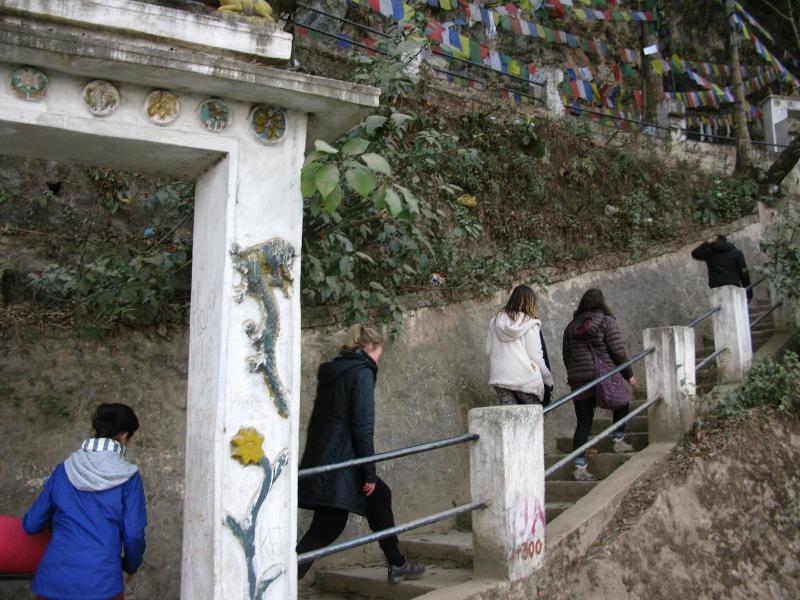 NEPALAYA image