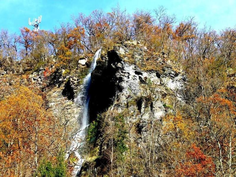 Borjomi Palace Spa Hotel Resort image