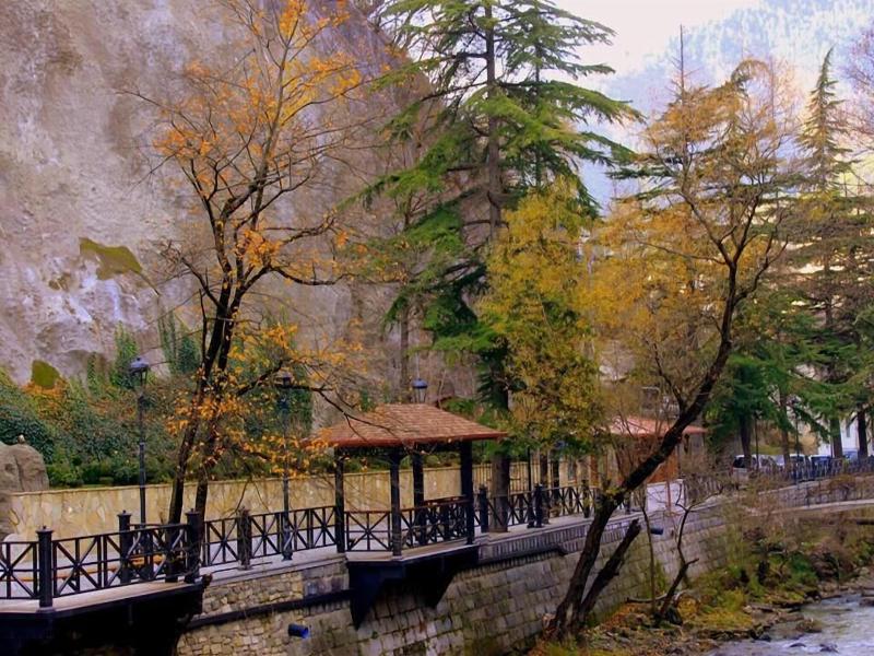 Borjomi Palace Spa Hotel Resort image