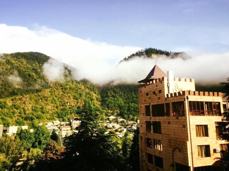 Borjomi Palace Spa Hotel Resort image