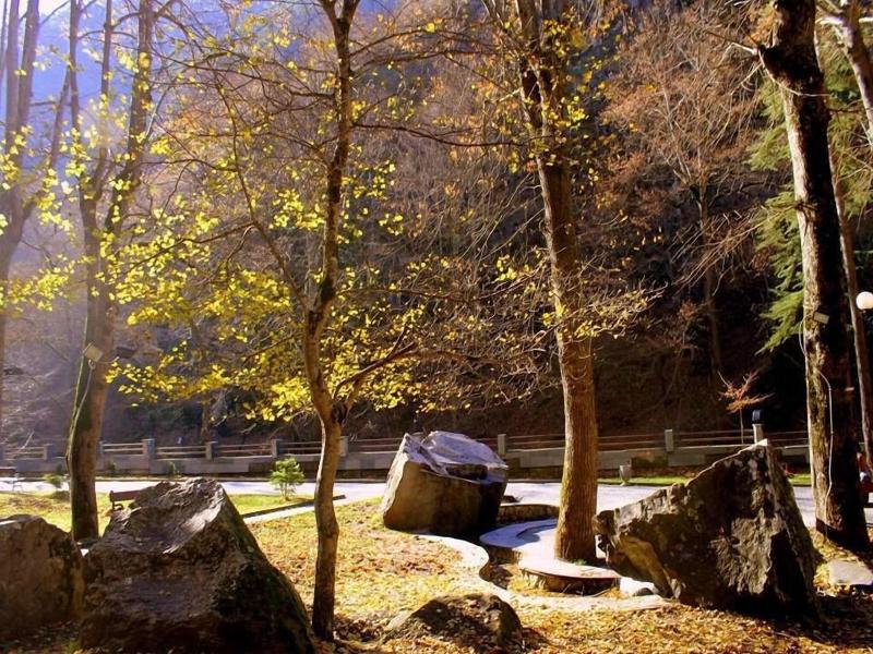 Borjomi Palace Spa Hotel Resort image