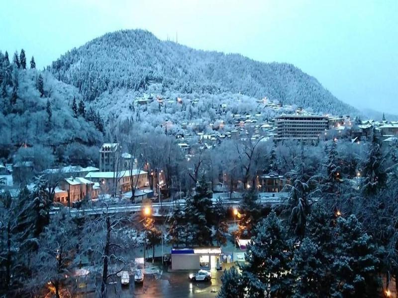 Borjomi Palace Spa Hotel Resort image
