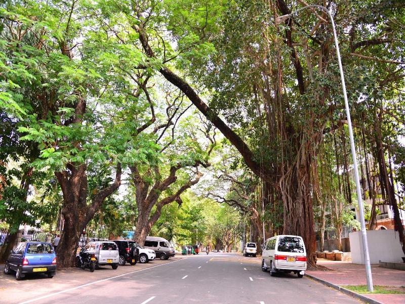 Colombo Villa At Cambridge Place image